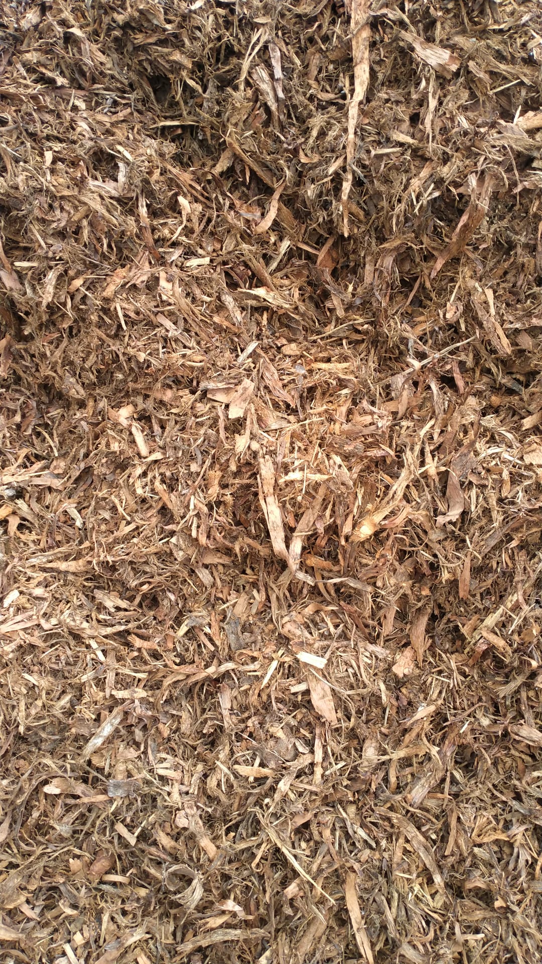 Hoop pine mulch